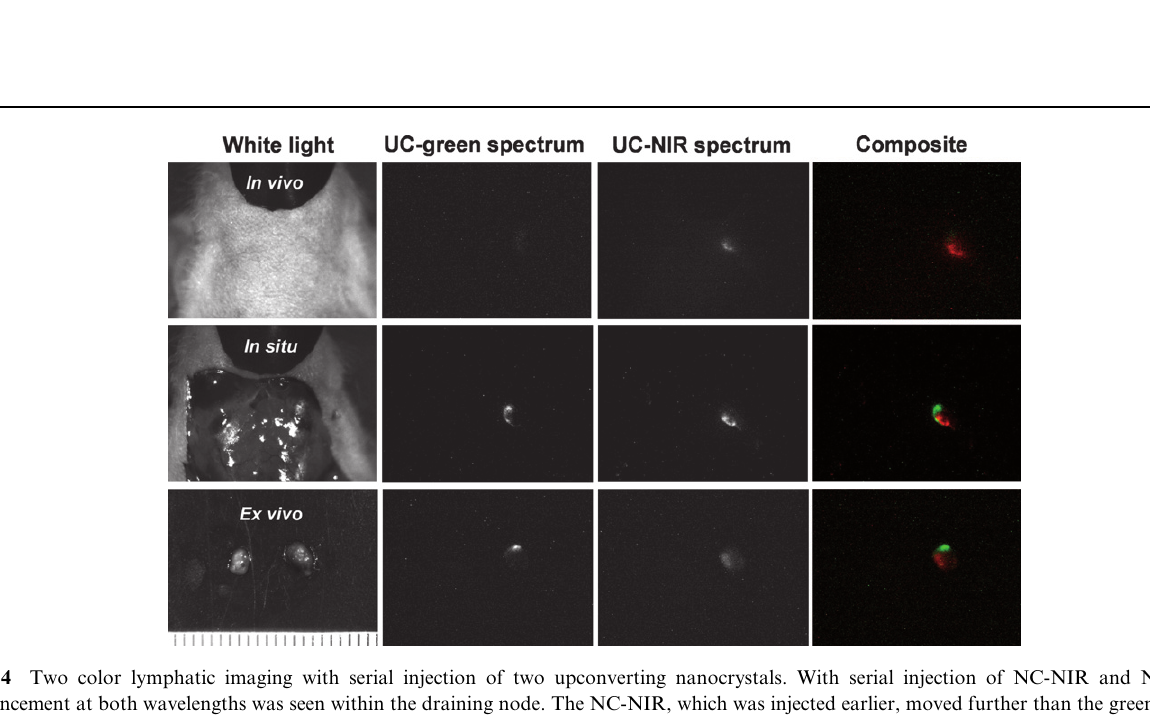 Published two-color lymphatic imaging figure